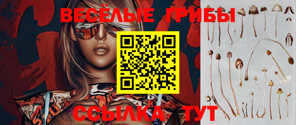 Галлюциногенные грибы прущие грибы  Вход с VPN  Новоалтайск  купить закладку  Галлюциногенные грибы Cubensis 