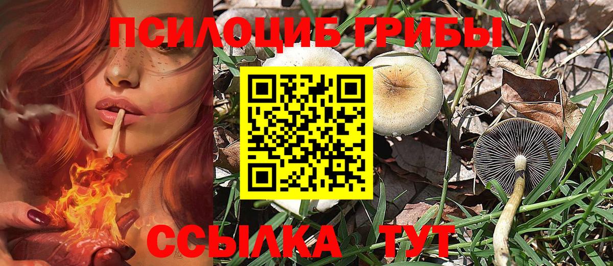 Псилоцибиновые грибы MAGIC MUSHROOMS Новоалтайск